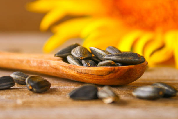 تصویر 3 از قیمت تخمه آفتابگردان صادراتی + خرید باور نکردنی